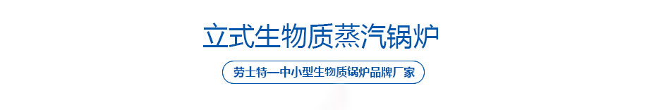 立式生物質(zhì)蒸汽鍋爐_02
