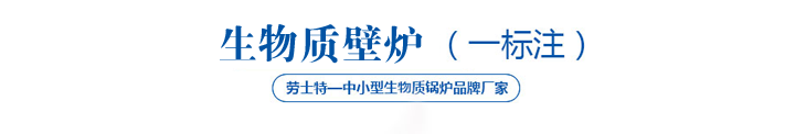 生物質(zhì)壁爐 生物質(zhì)壁爐