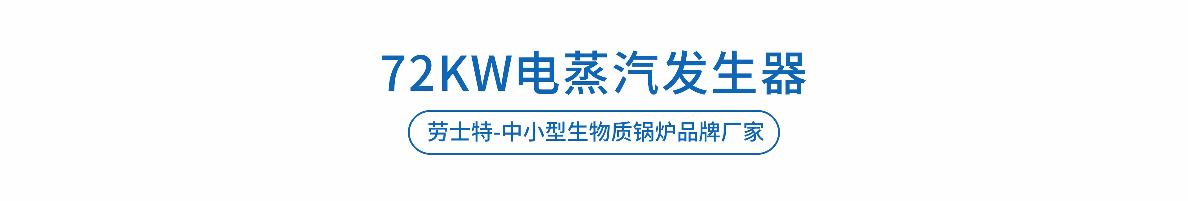 勞士特電蒸汽發(fā)生器
